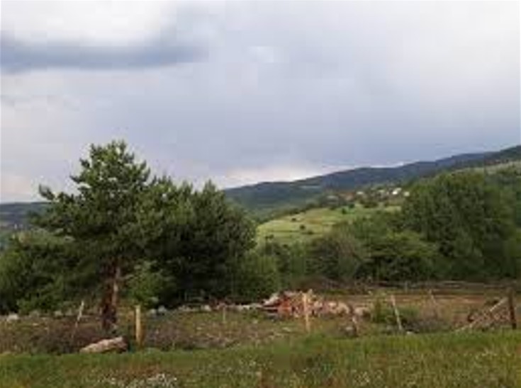 KASTAMONU MERKEZ HATİPLİ DE 2.269M² DEN 283M² HİSSELİ TARLA - KASTAMONU MERKEZ fotoğraf 10